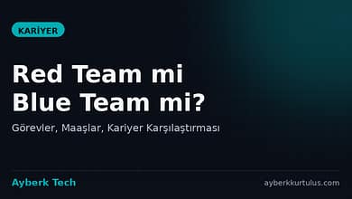 red team blue team